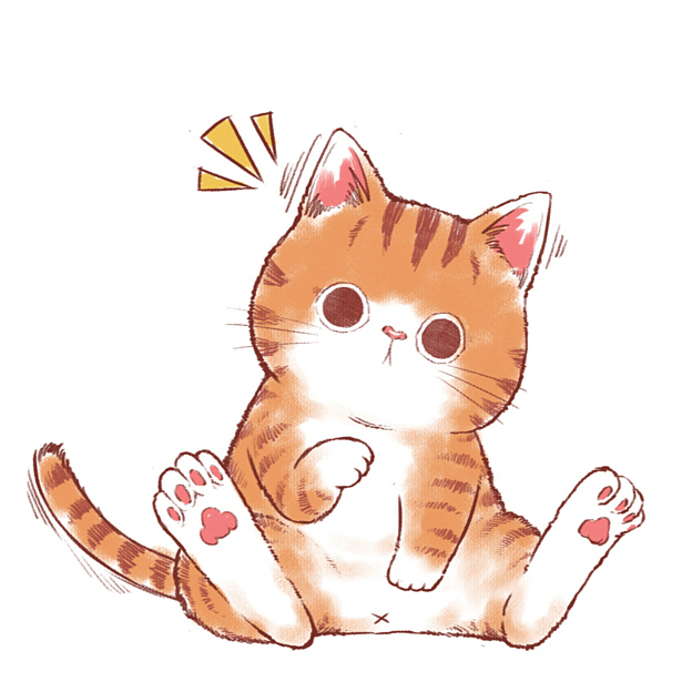 带上橘猫去旅行橘猫木瓜的表情包