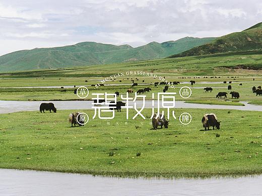 碧牧源-牦牛肉干（个人主页-ZNTY0NDI4MDQ=） - 包装 - 站酷设计师能力无限原创素材 - 站酷ZCOOL