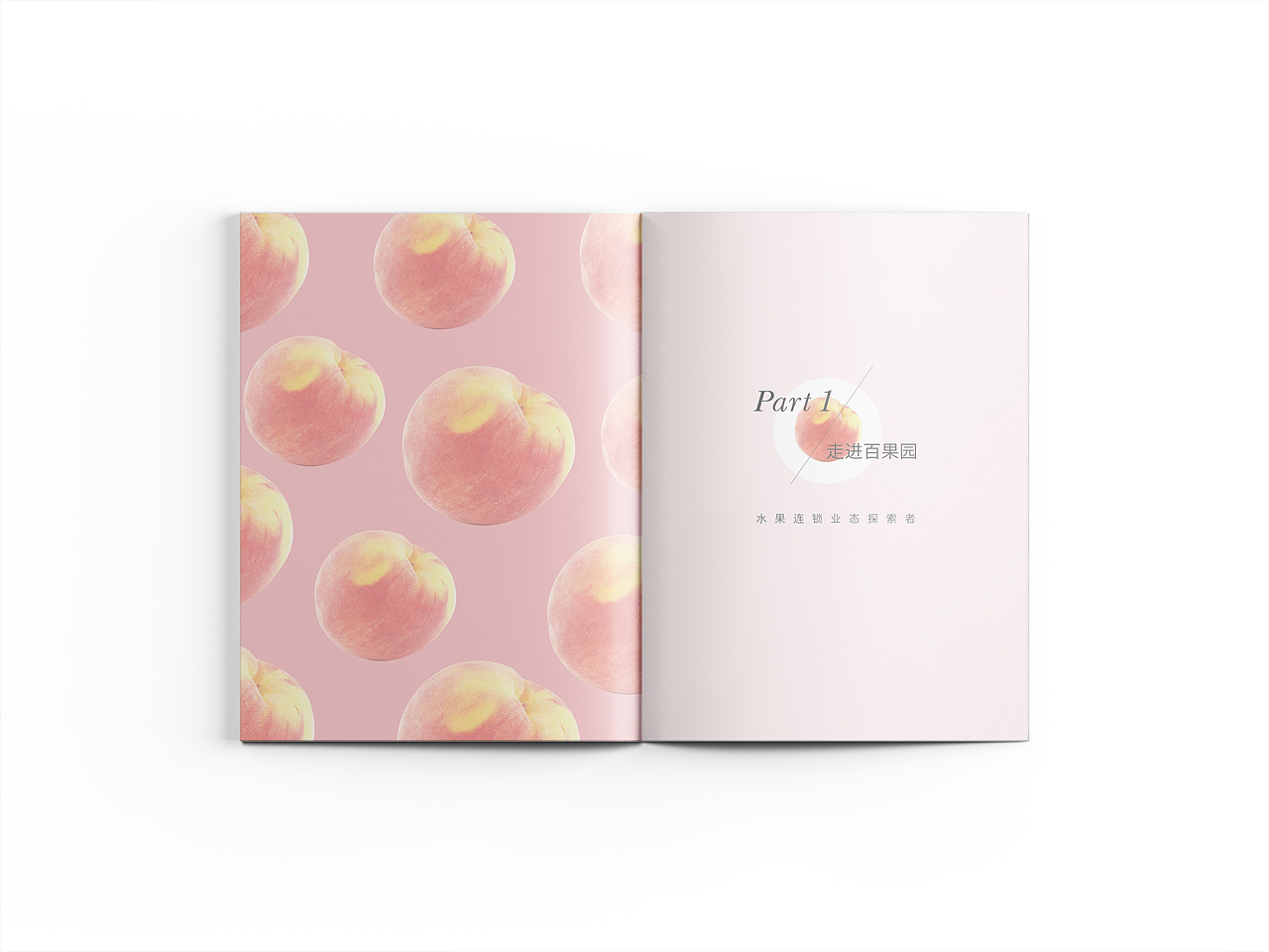 鲜果品牌画册