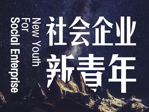 社会企业新青年VI设计