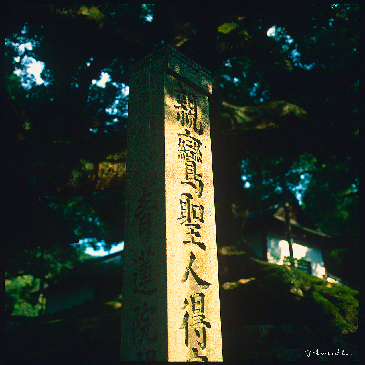 哈苏眼中的京都与东京