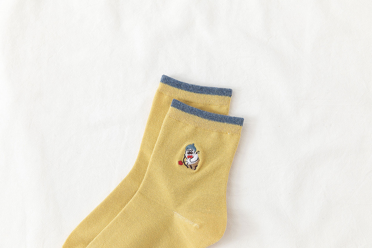 2019秋冬女袜INS风刺绣袜子日系