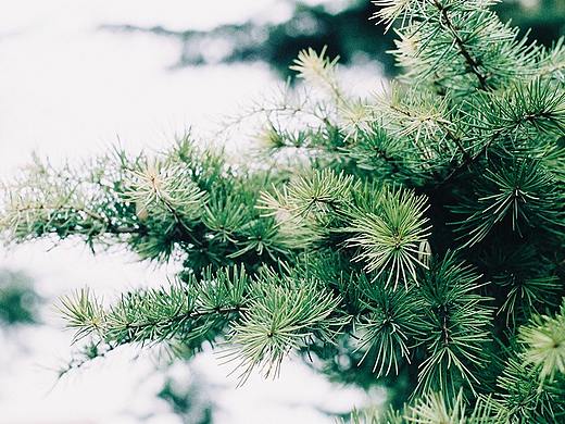 日常（個人主頁-ZMjY4MTE5MzI=） - 人像攝影 - 站酷設(shè)計師kiidou原創(chuàng)素材 - 站酷ZCOOL