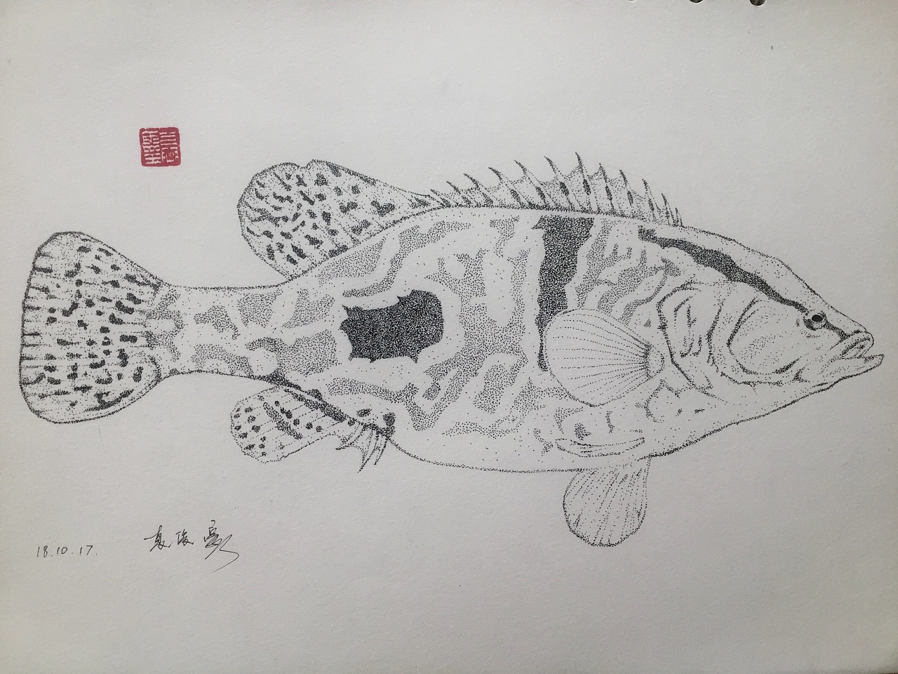 插画.鱼.点画