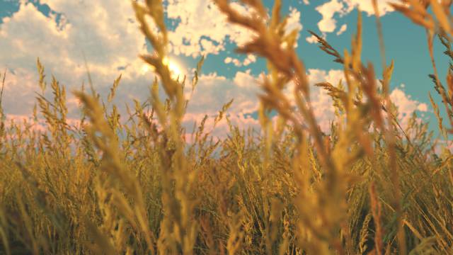 天逸寶地的個人主頁（背景預(yù)覽） - 主頁背景設(shè)置 - 站酷設(shè)計師天逸寶地原創(chuàng)素材 - 站酷ZCOOL