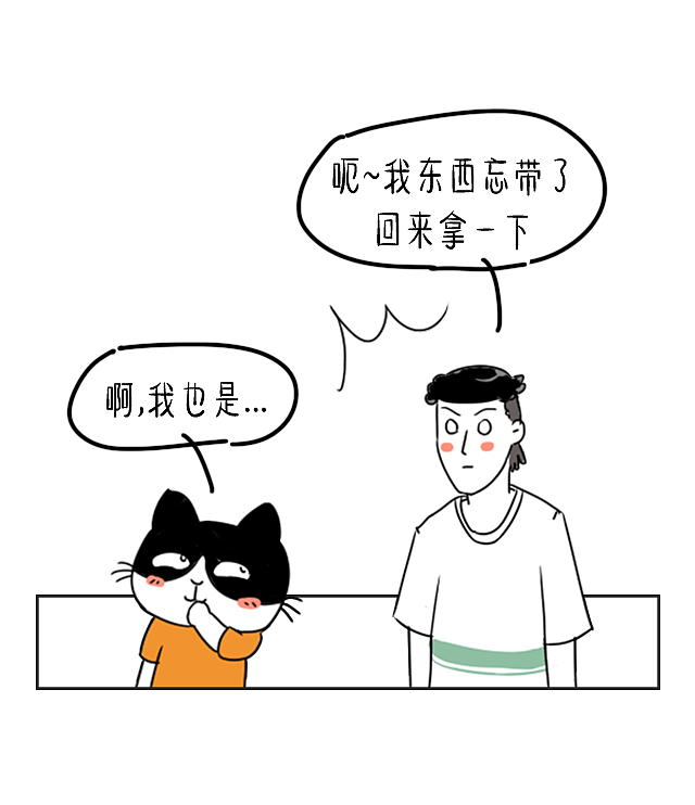 别对猫说谎,它不傻...