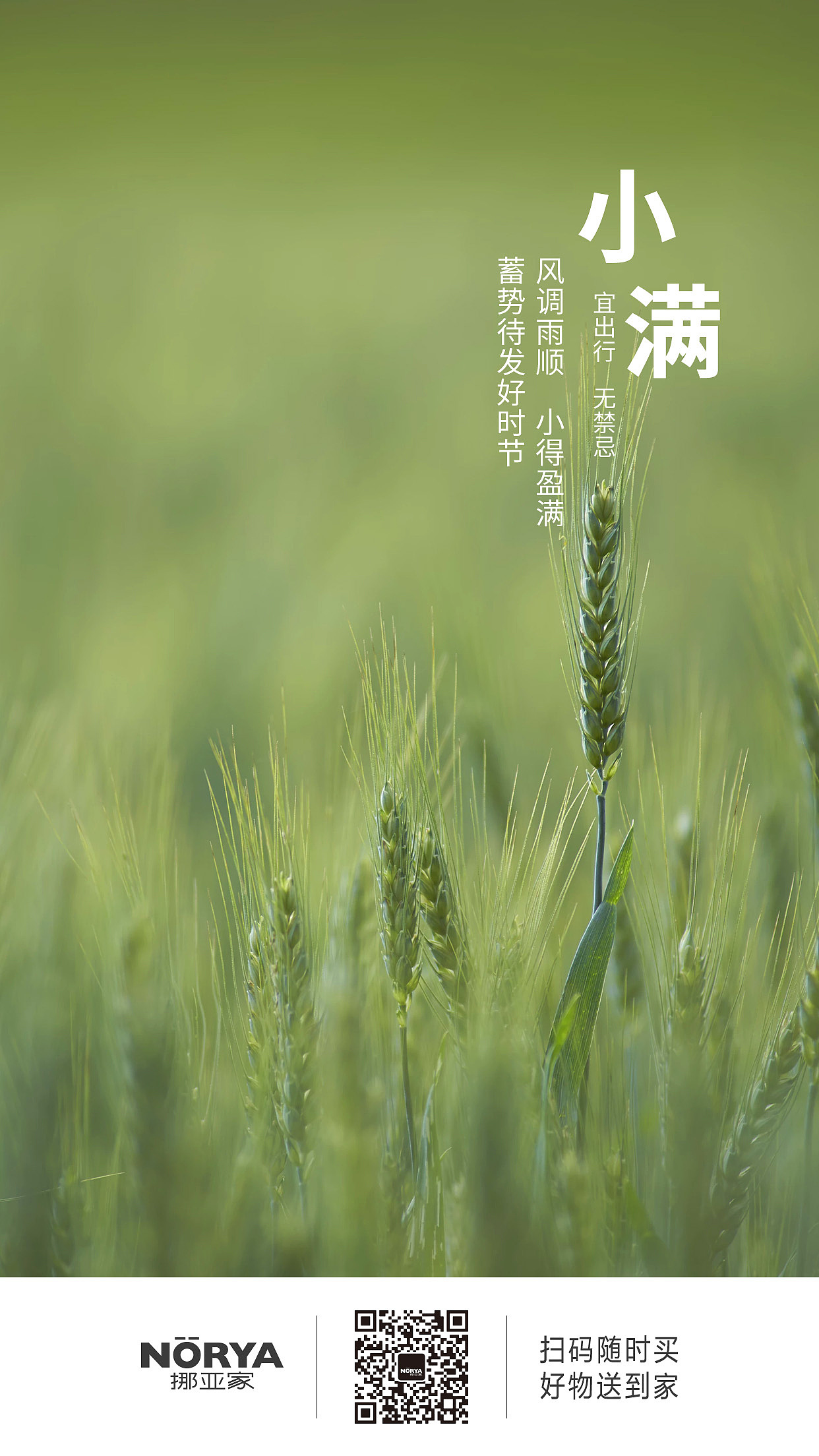 朋友圈宣传海报