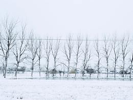 鄉(xiāng)間の雪