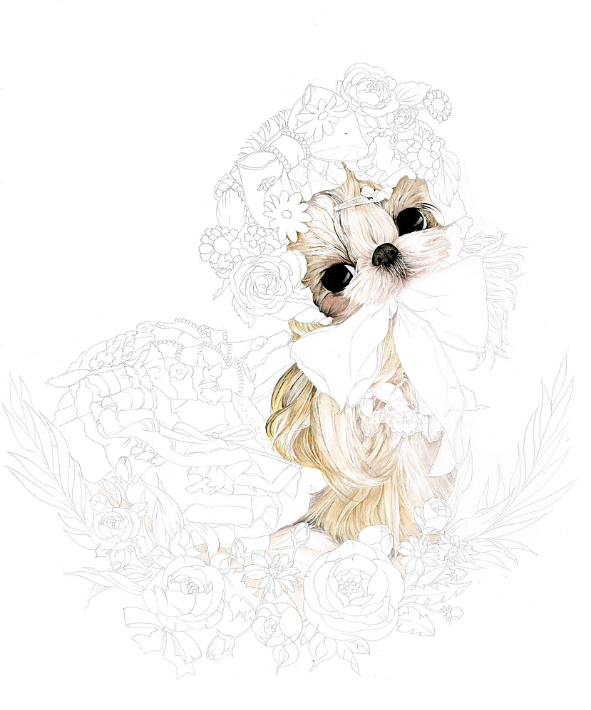 甜蜜花园里的西施犬