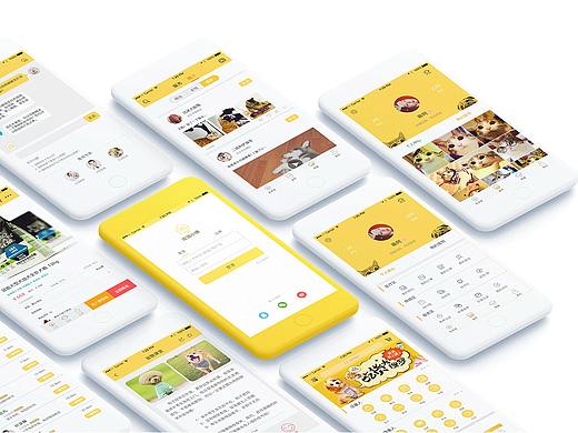 宠物小镇APP