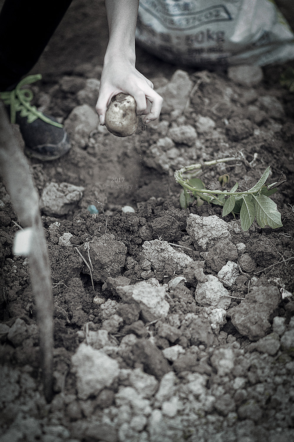 立春（图ZNjk0NjU3MzY=） - 风光摄影 - 站酷设计师HG设计者原创素材 - 站酷ZCOOL