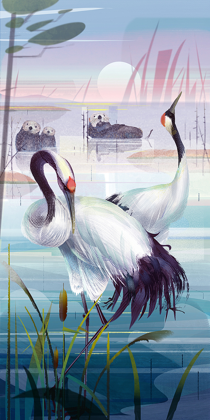 金典湿地公益H5（WWF）美术整理（图ZMTYxNzQ3NzQ0） - 商业插画 - 站酷设计师粥酸笼原创素材 - 站酷ZCOOL