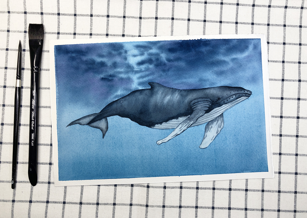 手机壁纸手绘蓝鲸图片