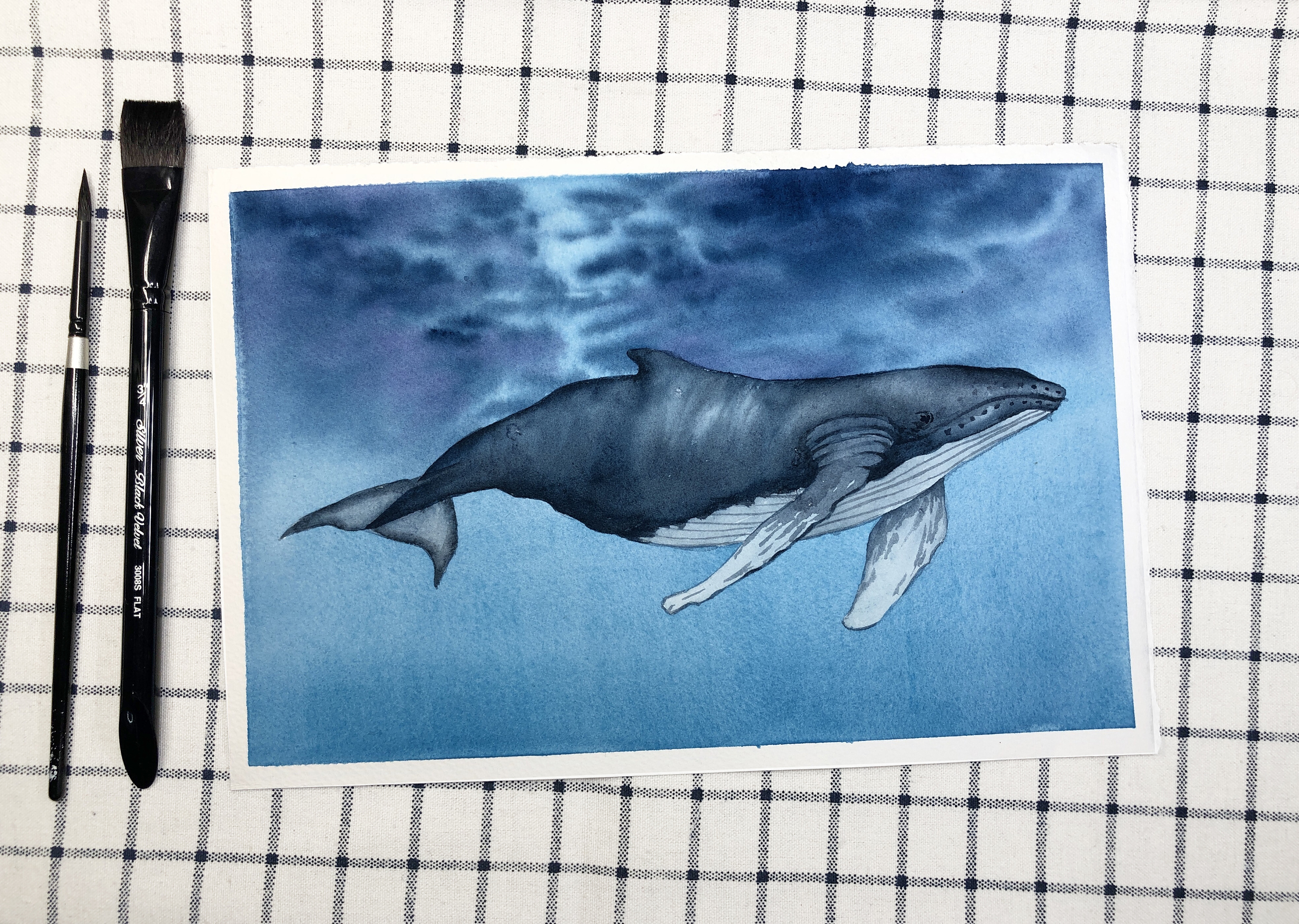 手绘水彩鲸鱼|插画|插画习作|董搞搞 - 原创作品 - 站酷 (ZCOOL)