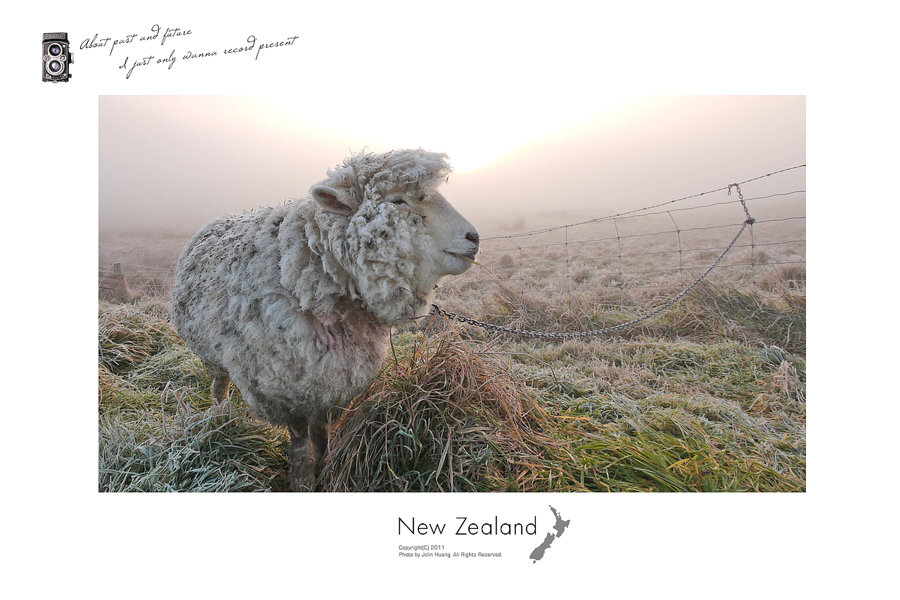 New Zealand 新西兰明信片 part2（图ZNzgyNTA4OA==） - 风光摄影 - 站酷设计师jolinivy原创素材 - 站酷ZCOOL
