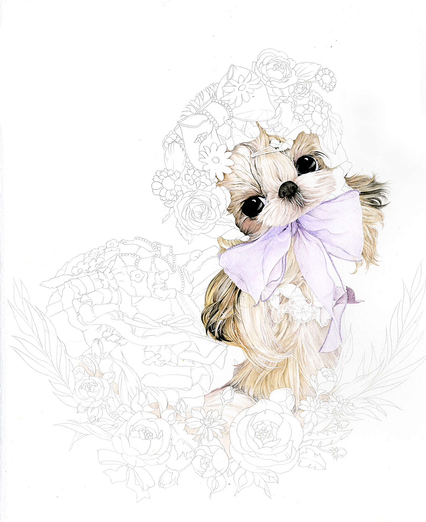 甜蜜花园里的西施犬