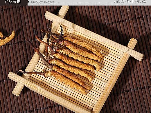 冬虫夏草详情页制作