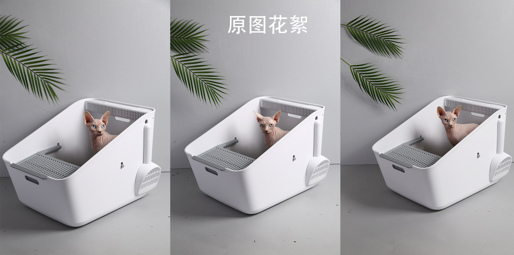 Pidan Snow House Igloo——猫砂盒子设计，为您的猫提供理想的厕所 - 普象网