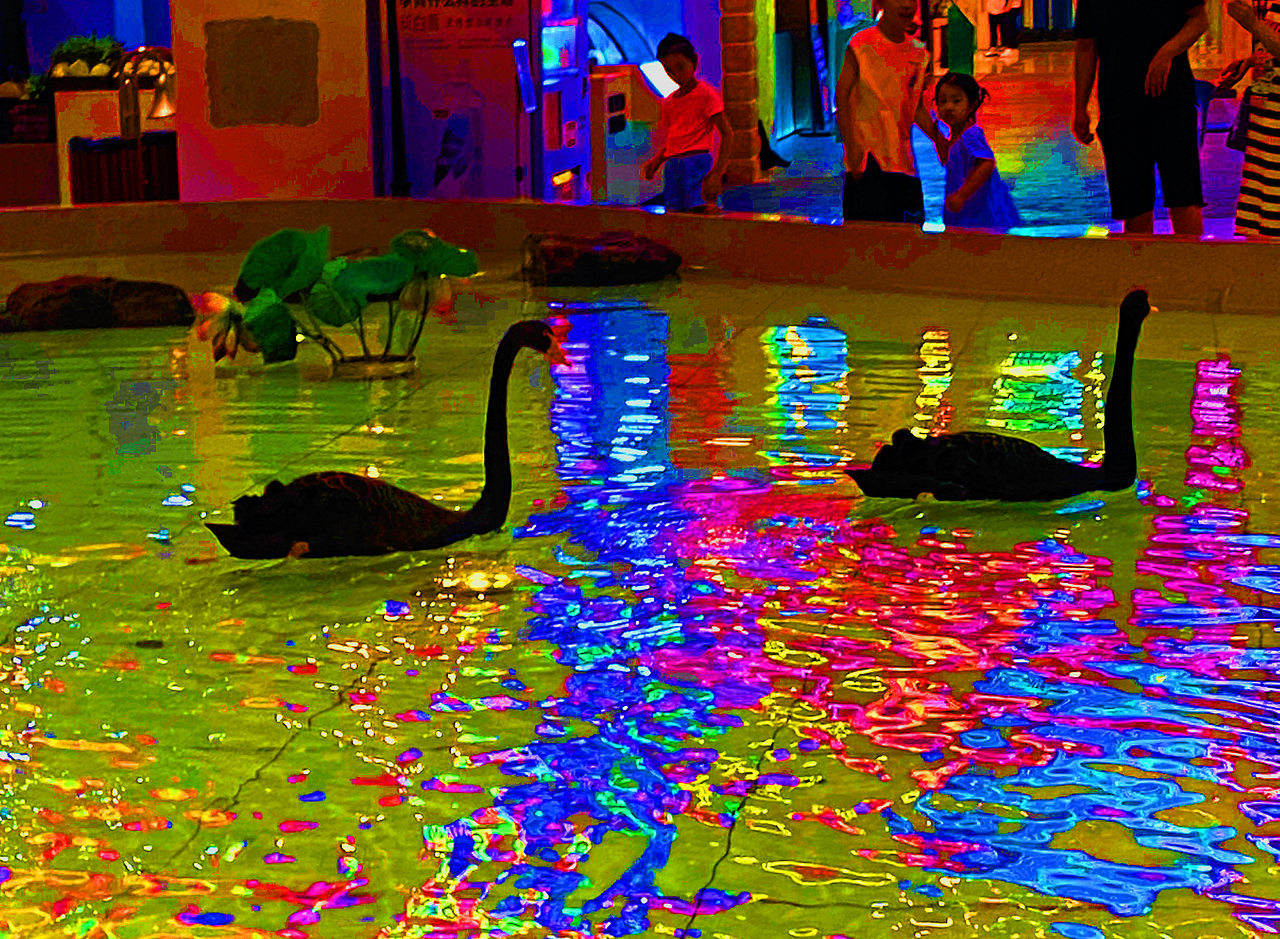 刘勇良画意摄影：入夜时分的黑天鹅