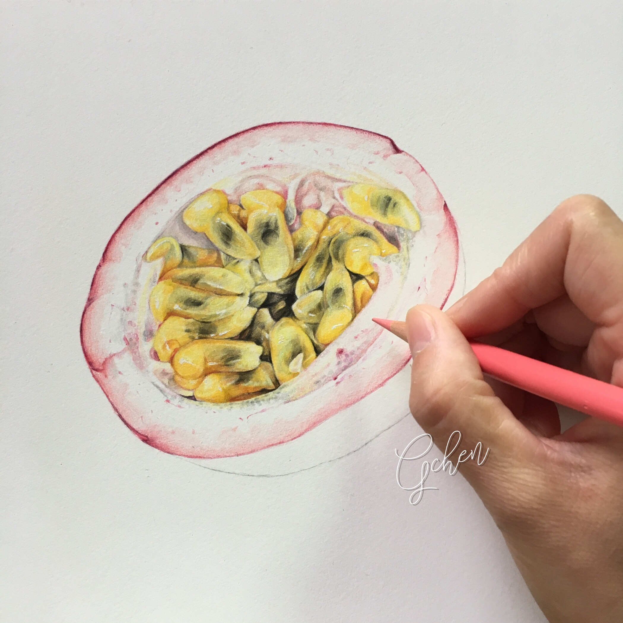 手绘百香果|纯艺术|彩铅|陈咔咔 - 原创作品 - 站酷 (zcool)