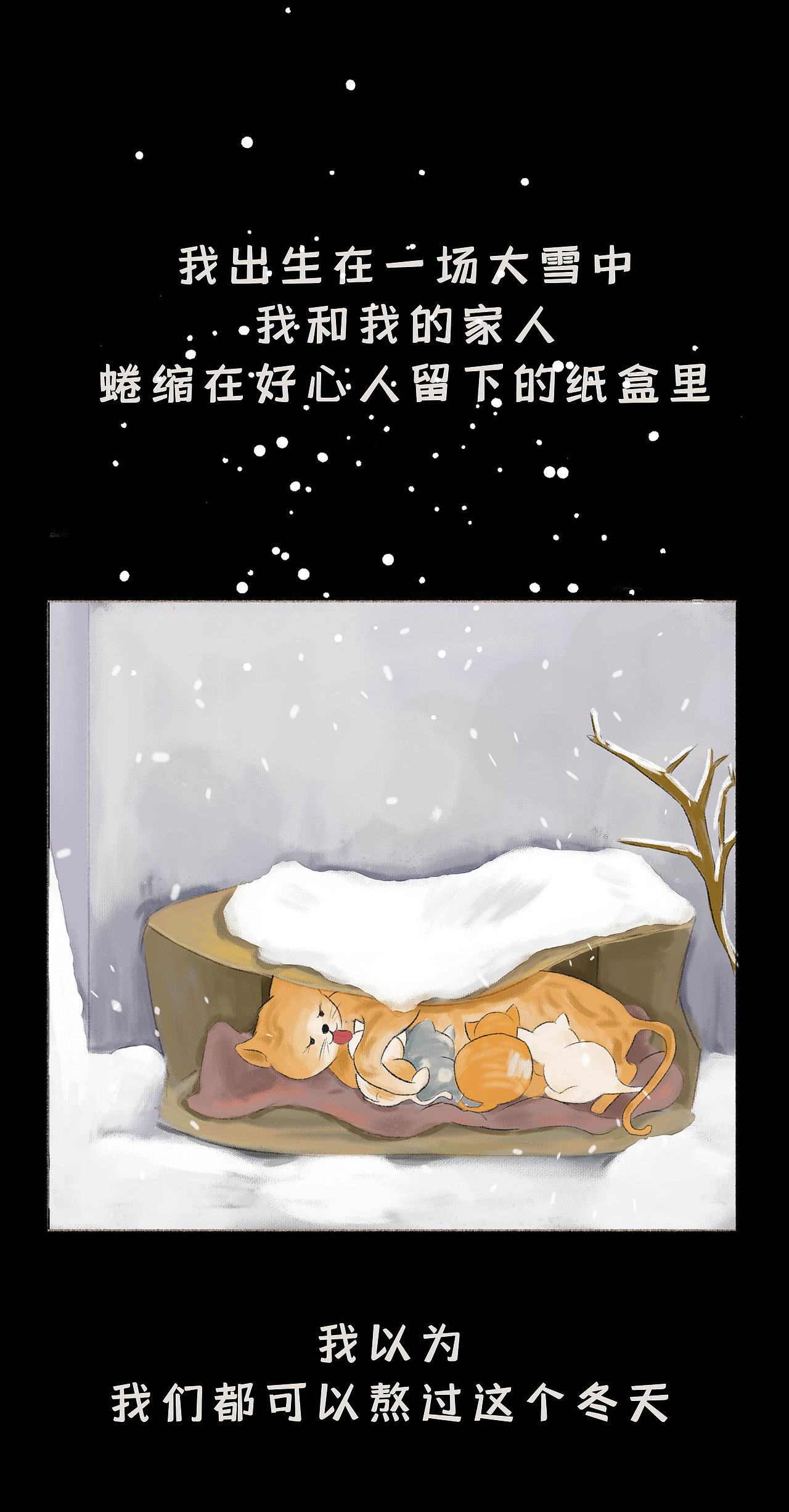 那些被遗弃的宠物都去哪儿了?