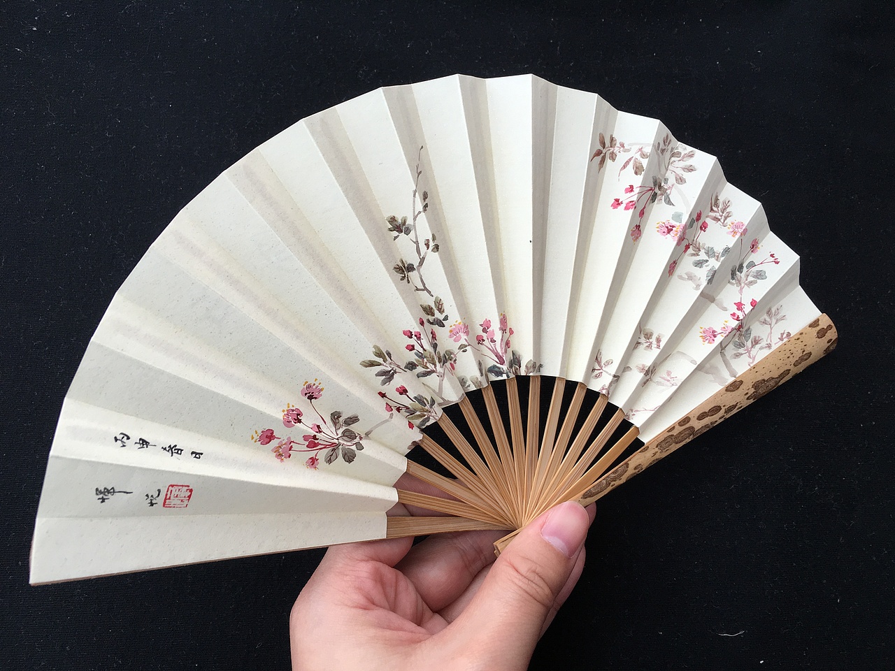 【小掌扇】垂丝海棠