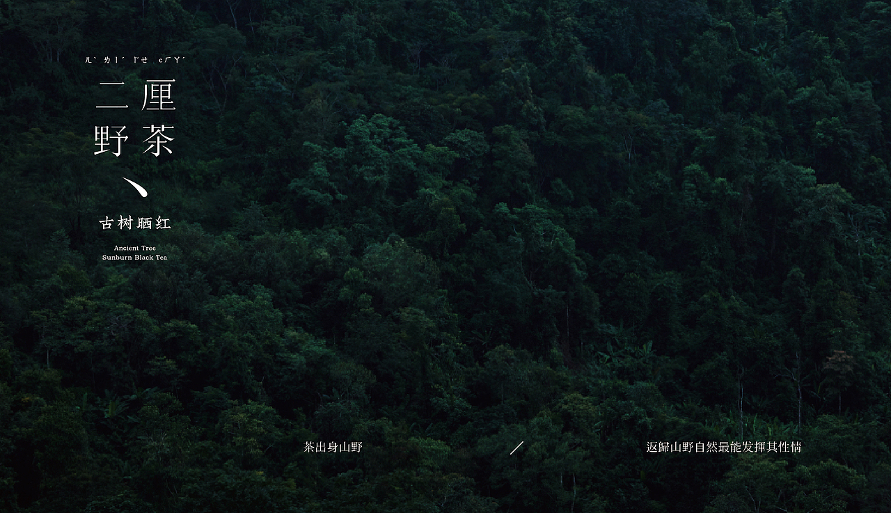 几何文创 | 二厘野茶（图ZMTk5Mjc1OTMy） - 品牌 - 站酷设计师几何文创原创素材 - 站酷ZCOOL