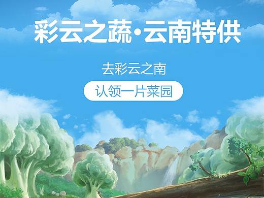 蓝蓝蔬语·云南特供