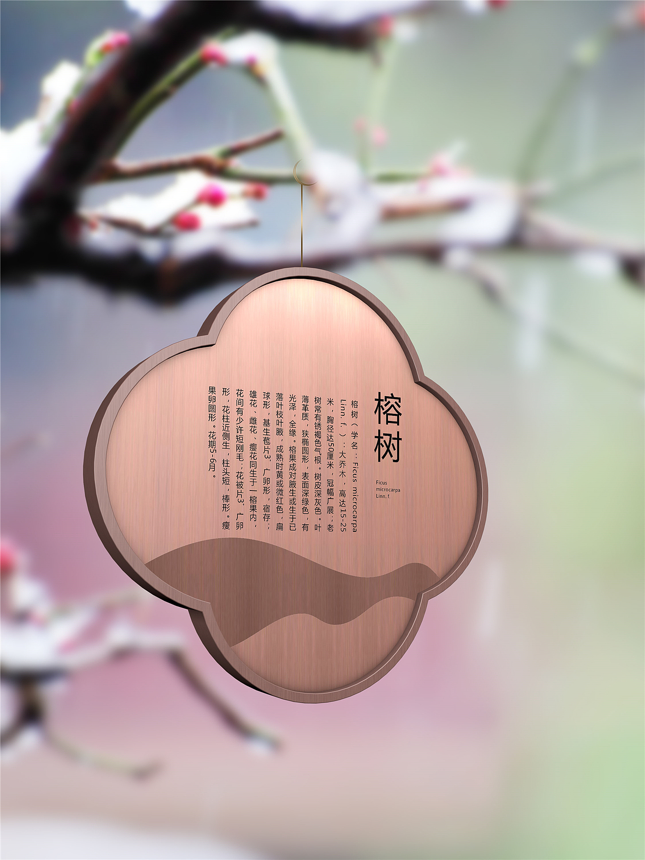 停车场导视设计去哪找|停车场导视系统设计