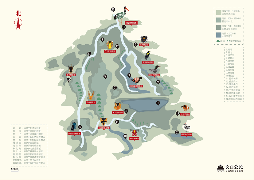 毕业设计＃青春答卷2017＃（图ZODQ0NzEzNjA=） - 其他平面 - 站酷设计师次溜滑原创素材 - 站酷ZCOOL