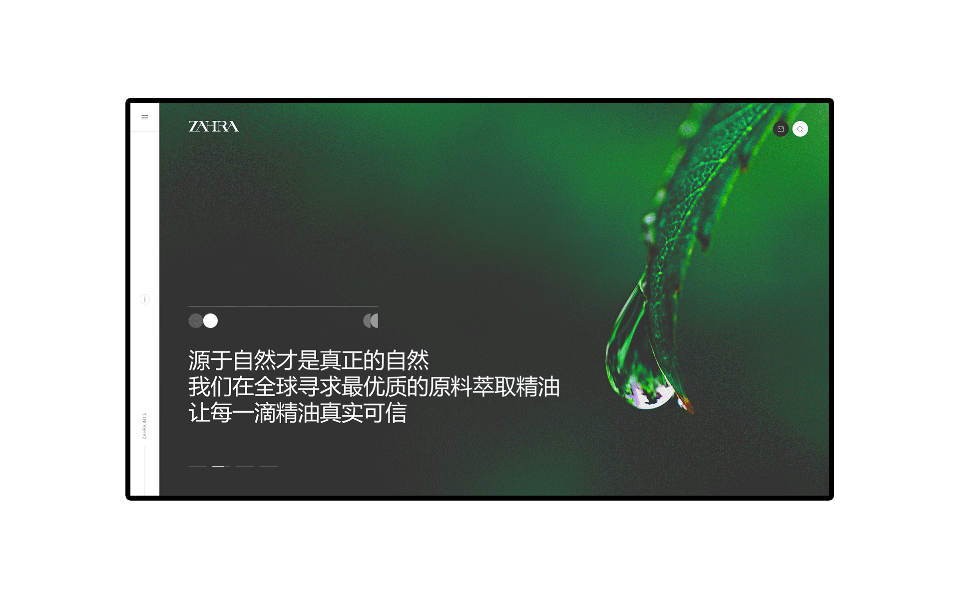 Zahra · 飒赫拉精油（图ZMjA3NzQ4OTA0） - 企业官网 - 站酷设计师应凡互动原创素材 - 站酷ZCOOL
