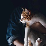 Cooper86的头像