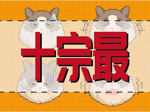 细数布偶猫特点