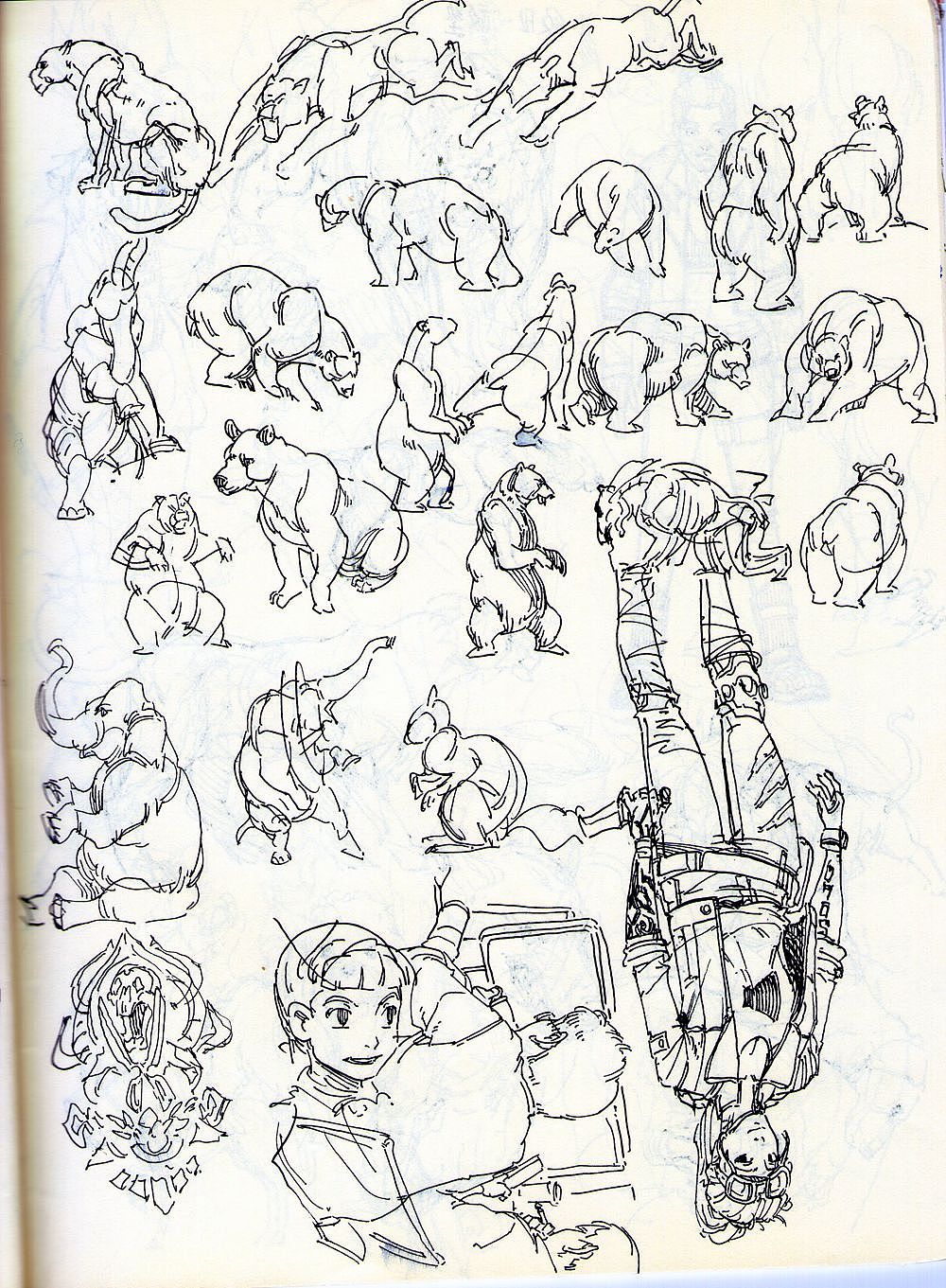 夹心山楂的随笔速写