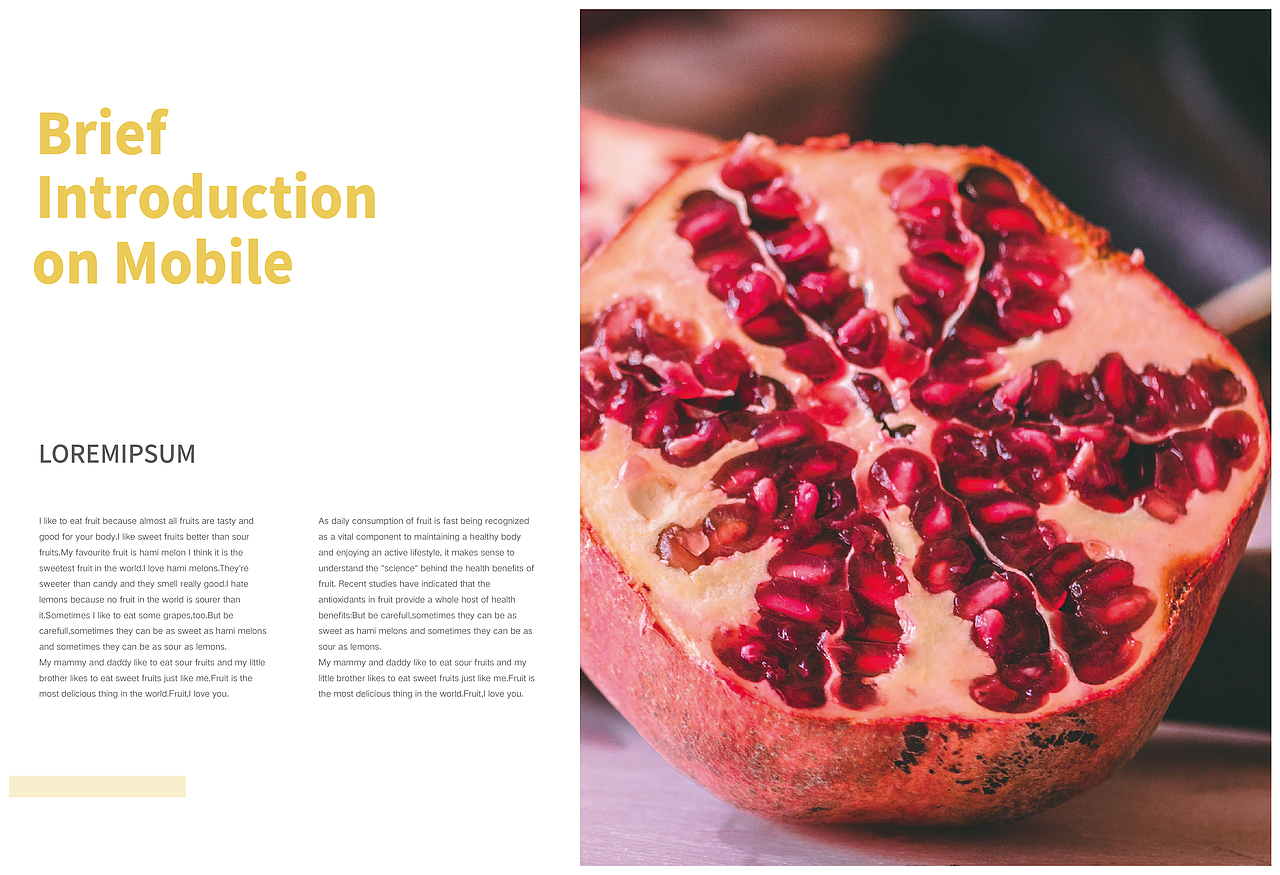 水果画册（图ZMTkzNjAyODI0） - 书籍/画册 - 站酷设计师Z30465752原创素材 - 站酷ZCOOL