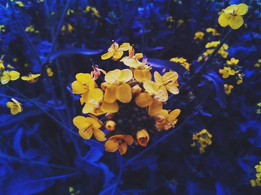 拍攝（個人主頁-ZNTA4Njg2OTY=） - 其他攝影 - 站酷設計師酷熱愛原創(chuàng)素材 - 站酷ZCOOL