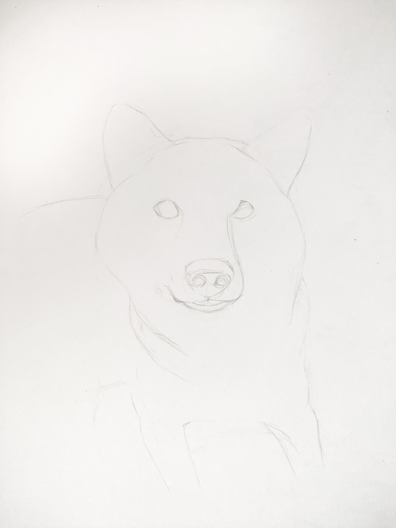 手绘狗狗 柴犬（图ZMjAxNzEzNzEy） - 绘画 - 站酷设计师我是一只斑点原创素材 - 站酷ZCOOL