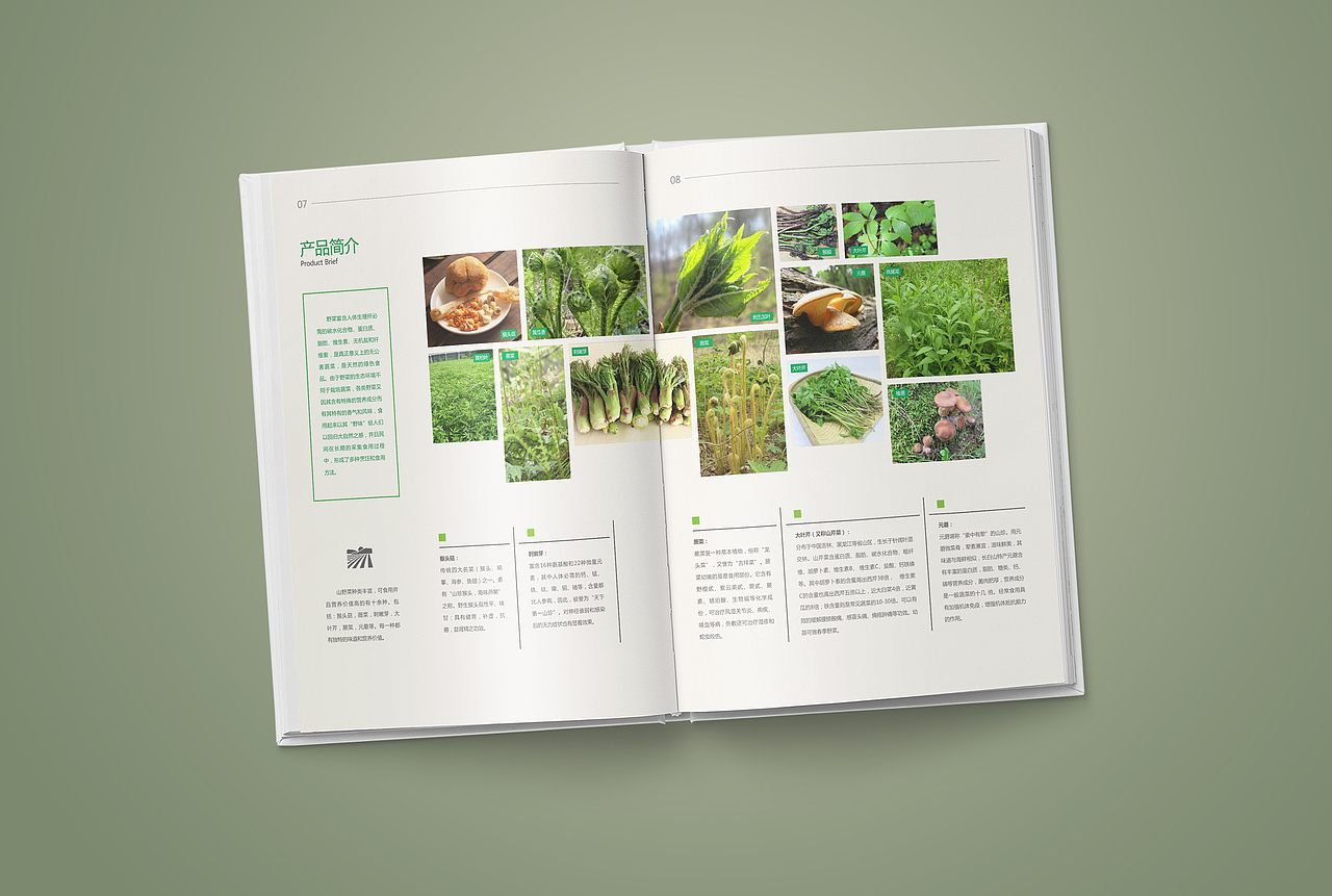 2017年上半年度画册作品集锦下篇·风的诗人（图ZODIwMTI5NTI=） - 书籍/画册 - 站酷设计师风的诗人原创素材 - 站酷ZCOOL