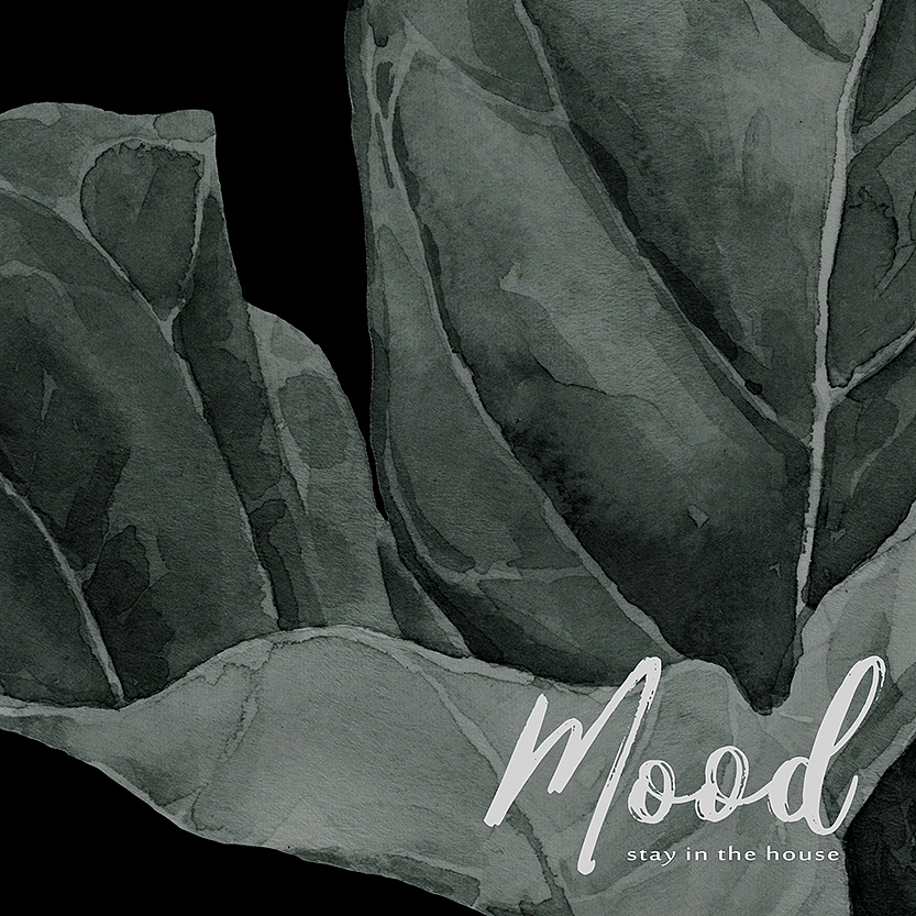 北欧植物 | 家居用品（图ZMTQwNjY1MTY4） - 商业插画 - 站酷设计师pollybo原创素材 - 站酷ZCOOL