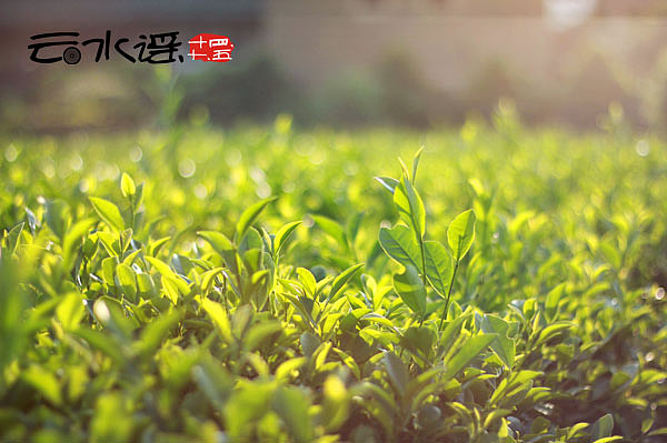 谣不可及 【 汕头 。南靖 】（图ZMjAyMzExNzI=） - 风光摄影 - 站酷设计师丁满仔原创素材 - 站酷ZCOOL