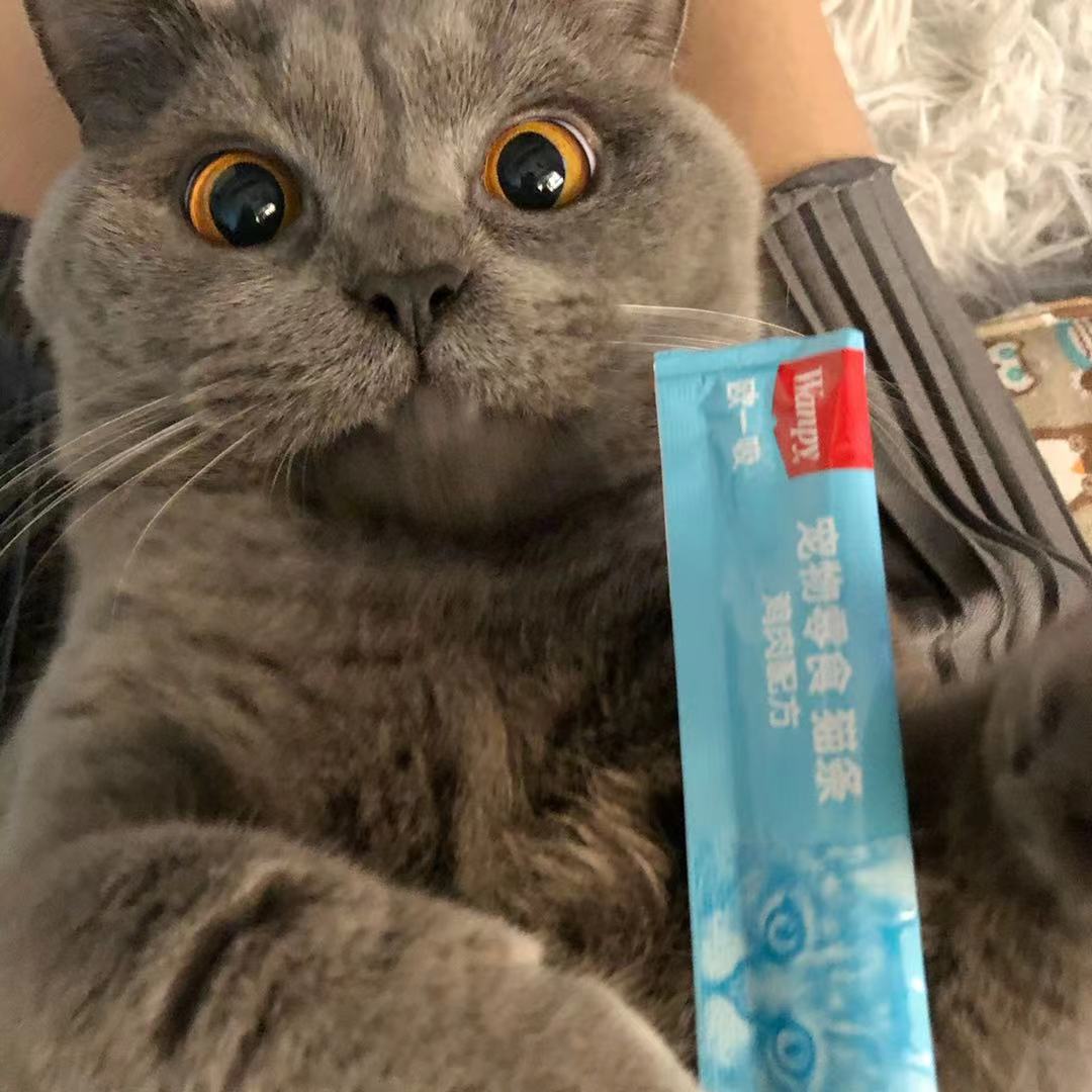 KIMIZJL的个人主页（背景预览） - 主页背景设置 - 站酷设计师KIMIZJL原创素材 - 站酷ZCOOL