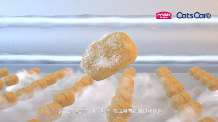 宠物粮食视频 | 麦富迪X珀珀宠影