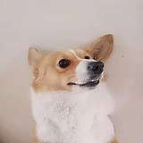 洋哎哎呀的头像