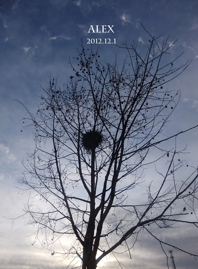 学校附近（图ZNzY2NTE4MA==） - 风光摄影 - 站酷设计师Vman_Alex原创素材 - 站酷ZCOOL