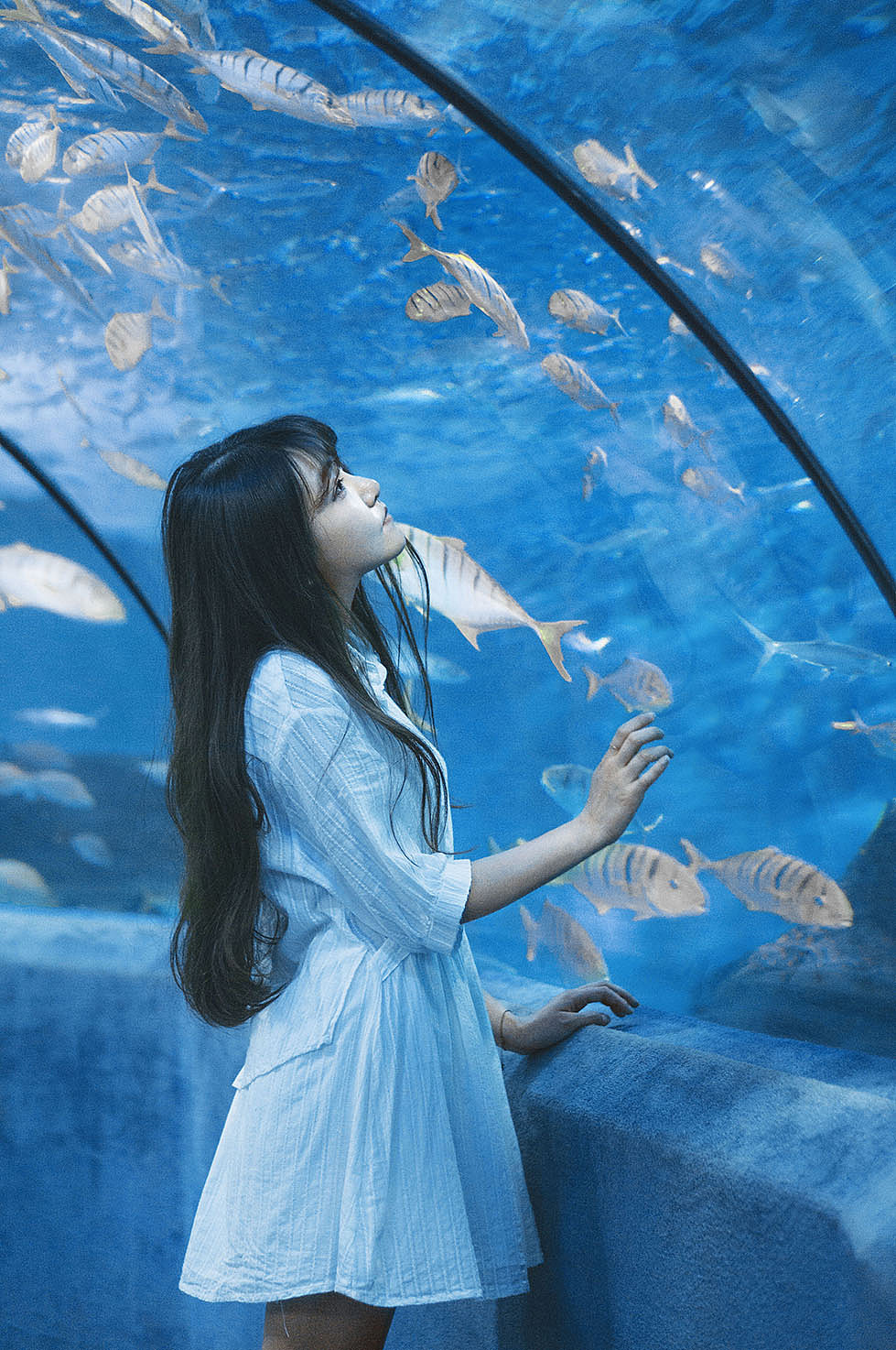 蓝色大海的传说