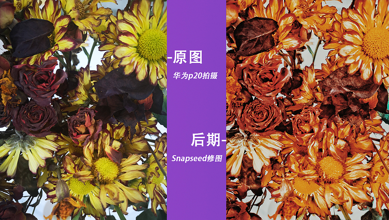 手机摄影——100张创作手稿