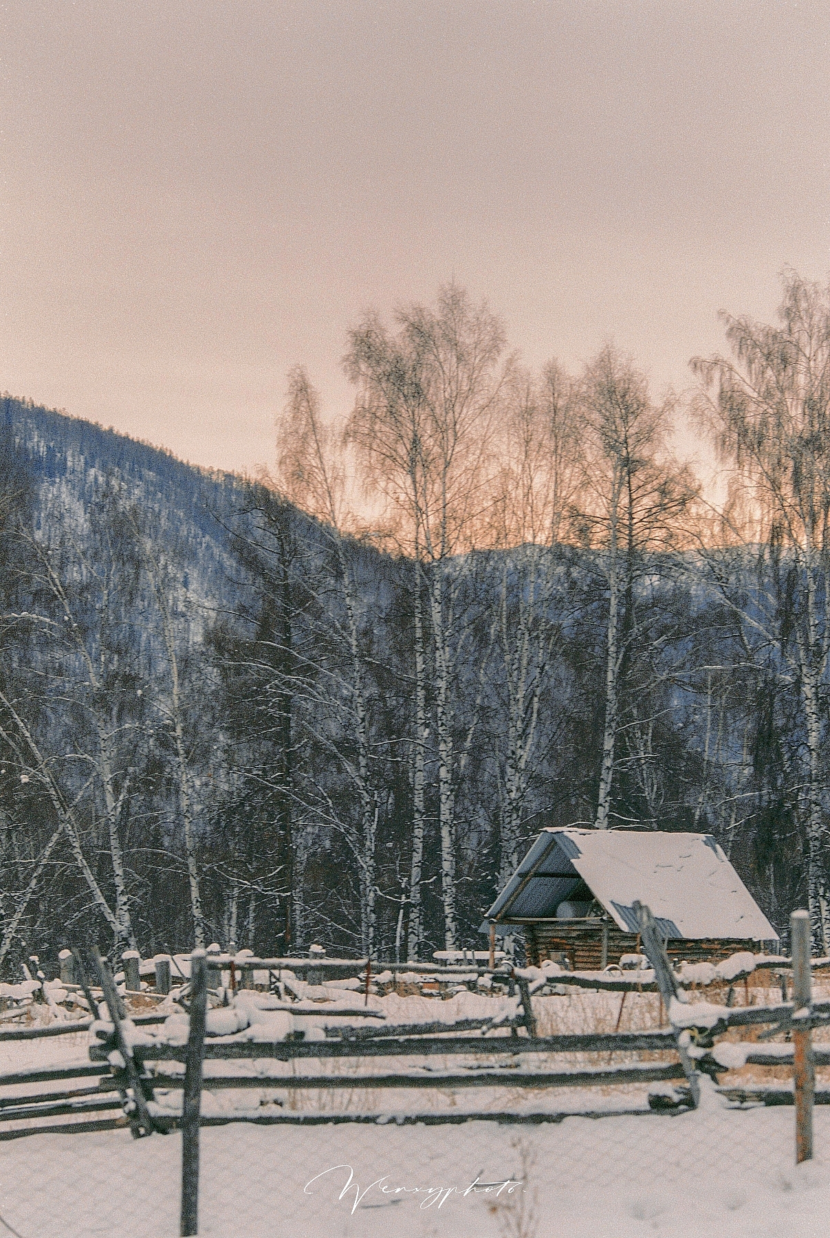 女孩们-2020节选