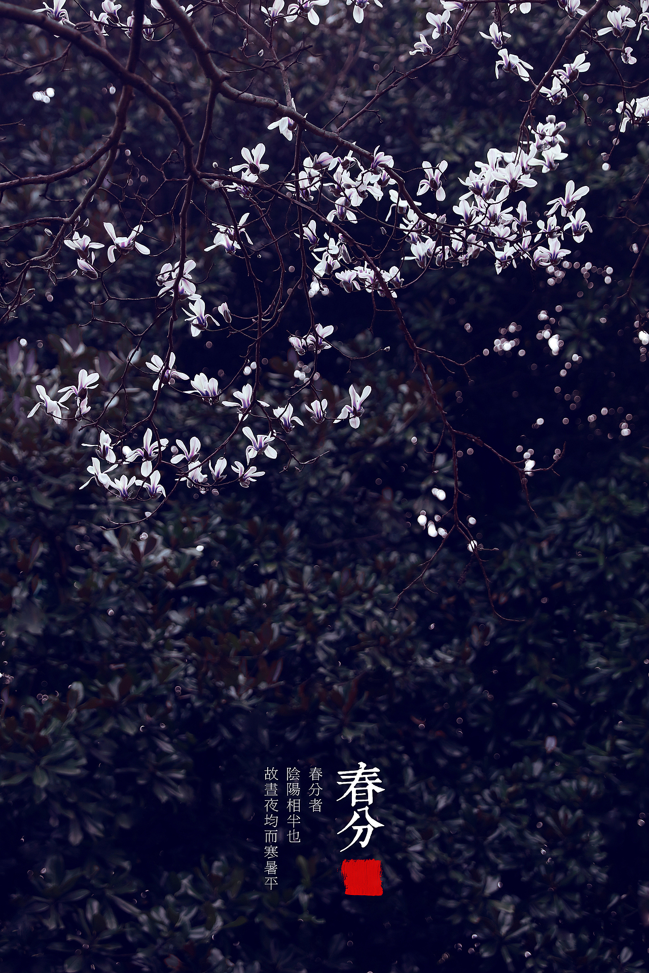 二十四气节之 春分