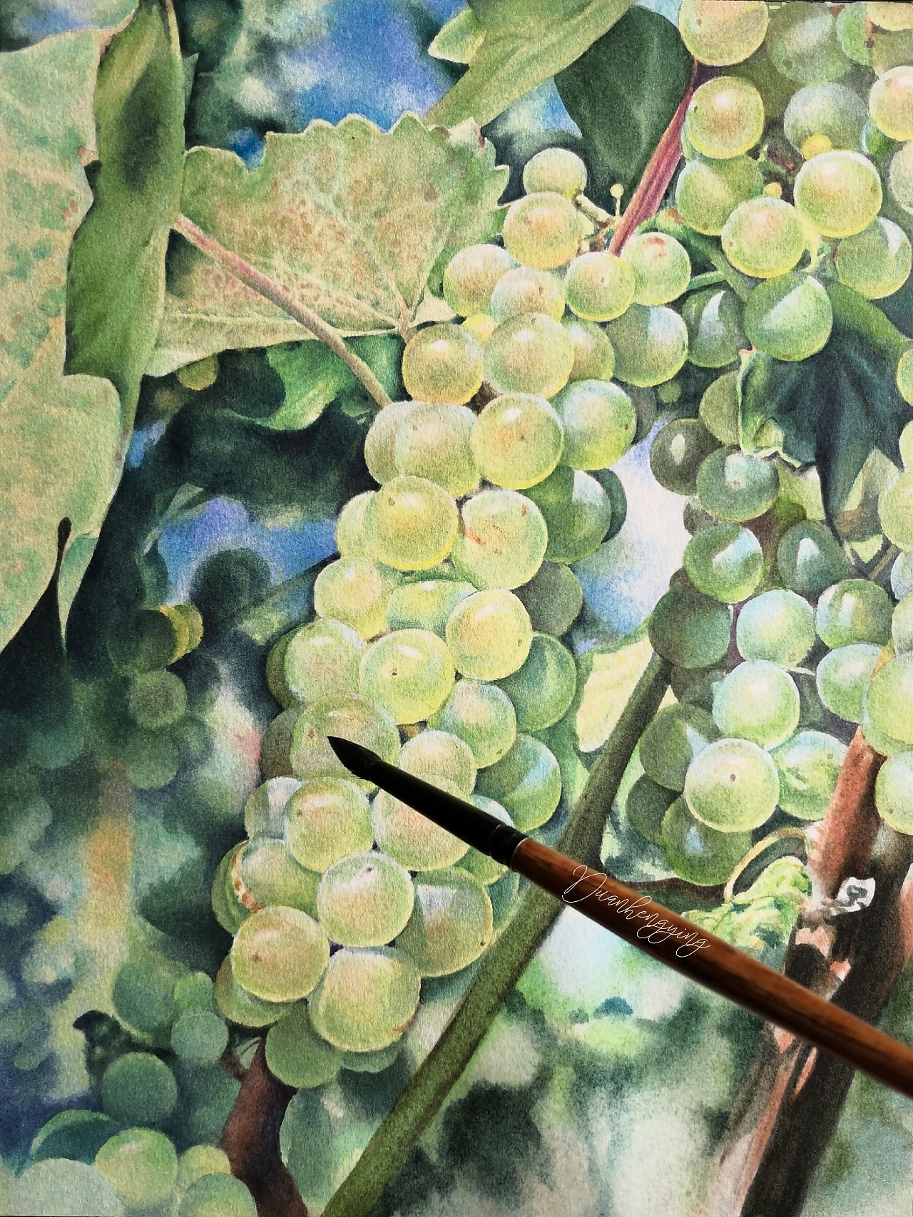 水彩～熟透的绿葡萄～9