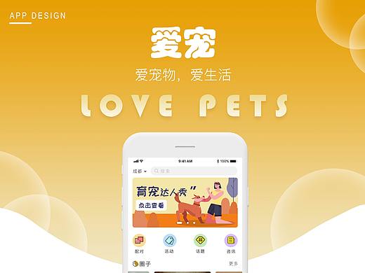 宠物APP